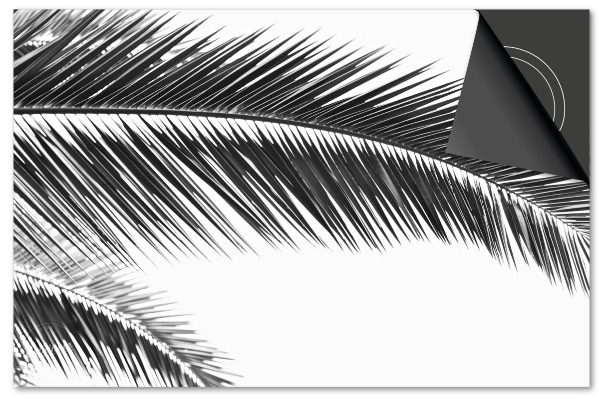 Inductiebeschermer Leaves – 12 Zwart palmbladeren - Afbeelding 2