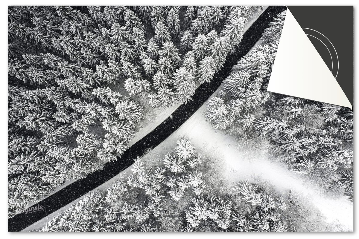 Inductiebeschermer Winter – Weg Bomen van boven - Afbeelding 2