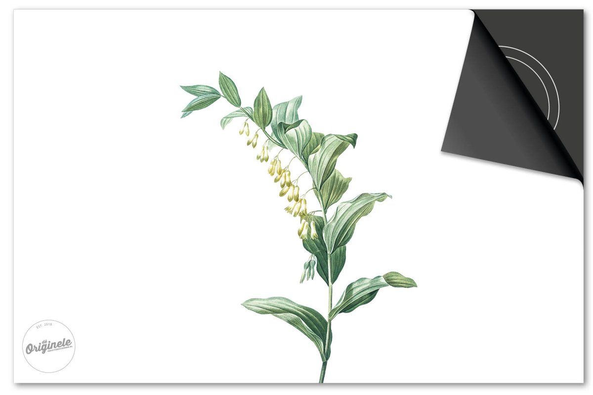 Inductiebeschermer Botanical – Plantje kelkjes - Afbeelding 2