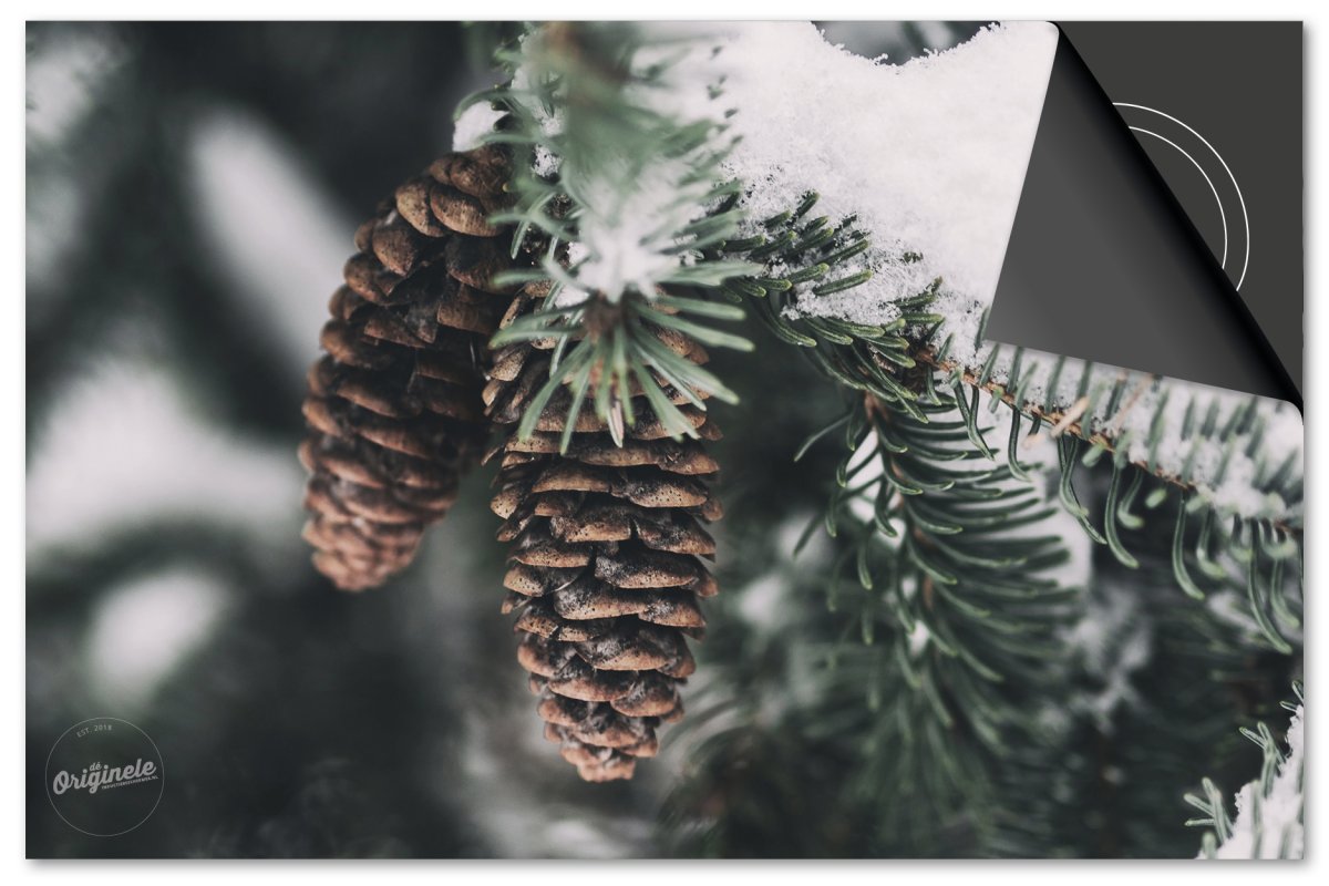 Inductiebeschermer Feestdagen – Dennenappels sneeuw - Afbeelding 2