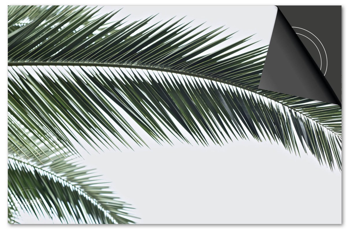 Inductiebeschermer Leaves – 13 Kleur palmbladeren - Afbeelding 2
