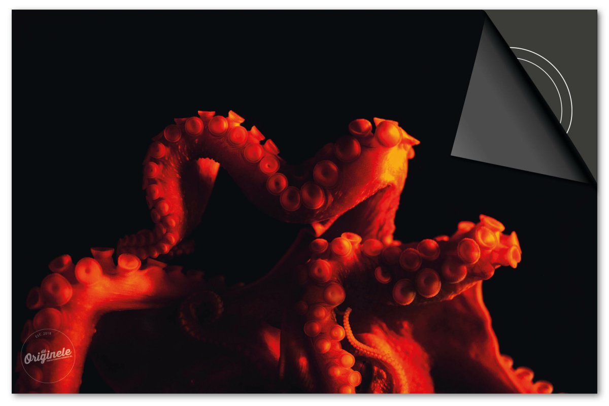 Inductiebeschermer Under the Sea – Octopus Rood - Afbeelding 2