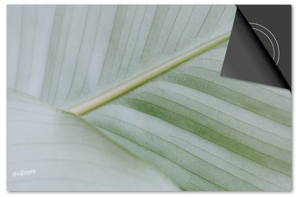 Inductiebeschermer Leaves – 8 Wit groen blad van dichtbij - Afbeelding 2