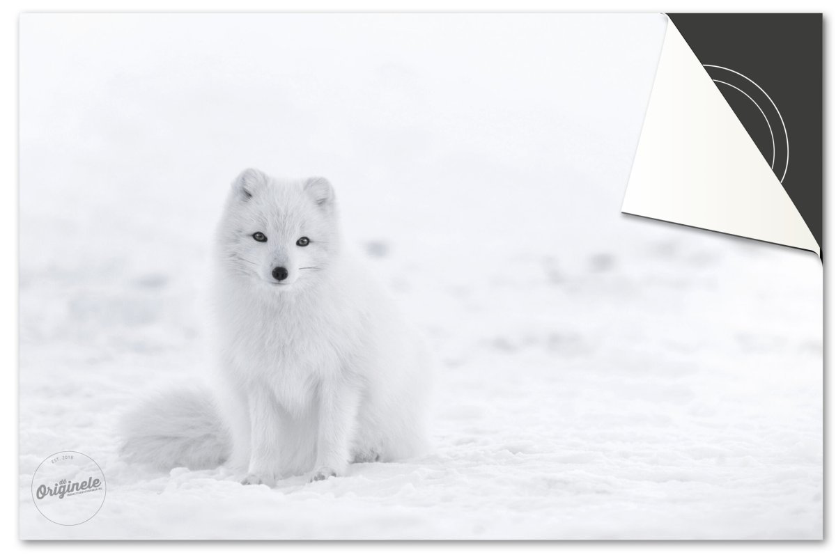Inductiebeschermer Winter – Sneeuw Vos - Afbeelding 2