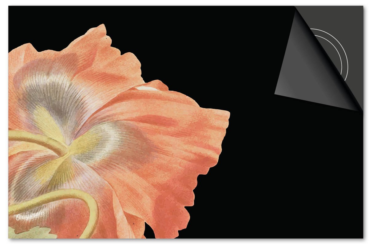 Inductiebeschermer Botanical – Bloem oranje op zwart - Afbeelding 2