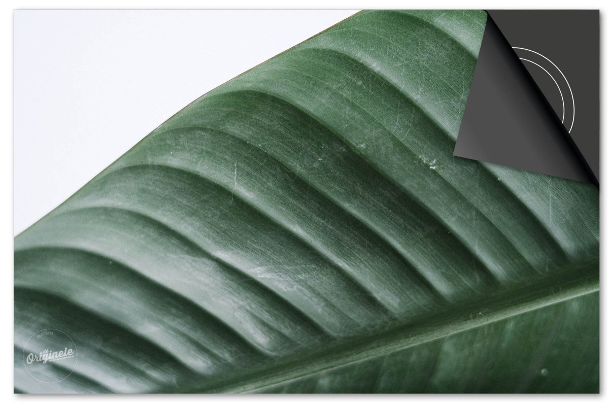 Inductiebeschermer Leaves – 3 Wit met groen blad