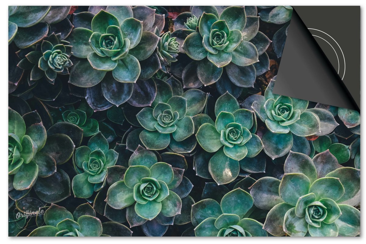 Inductiebeschermer Bloemen en Planten – Vetplantjes - Afbeelding 2