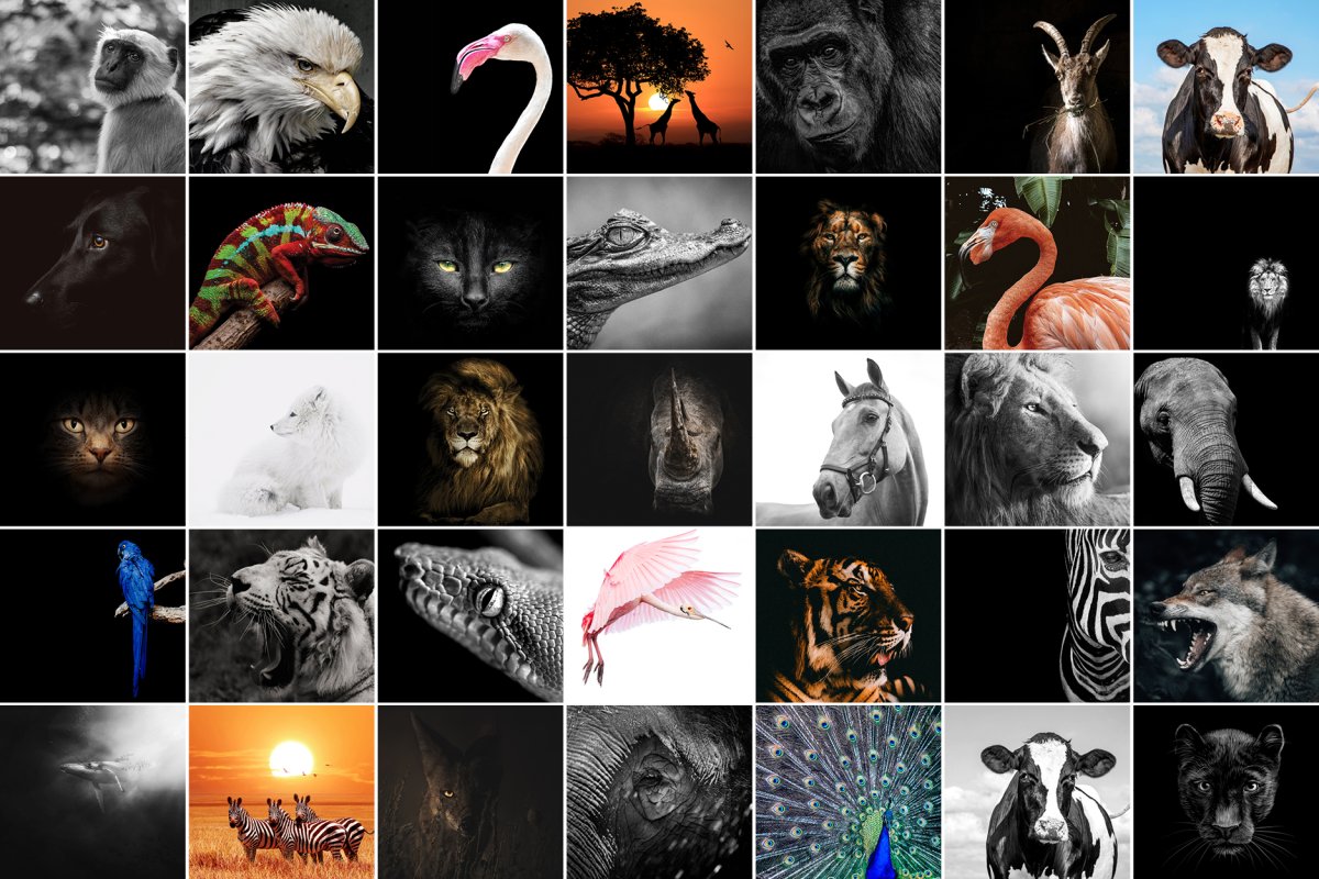 Dieren collectie - Afbeelding 2