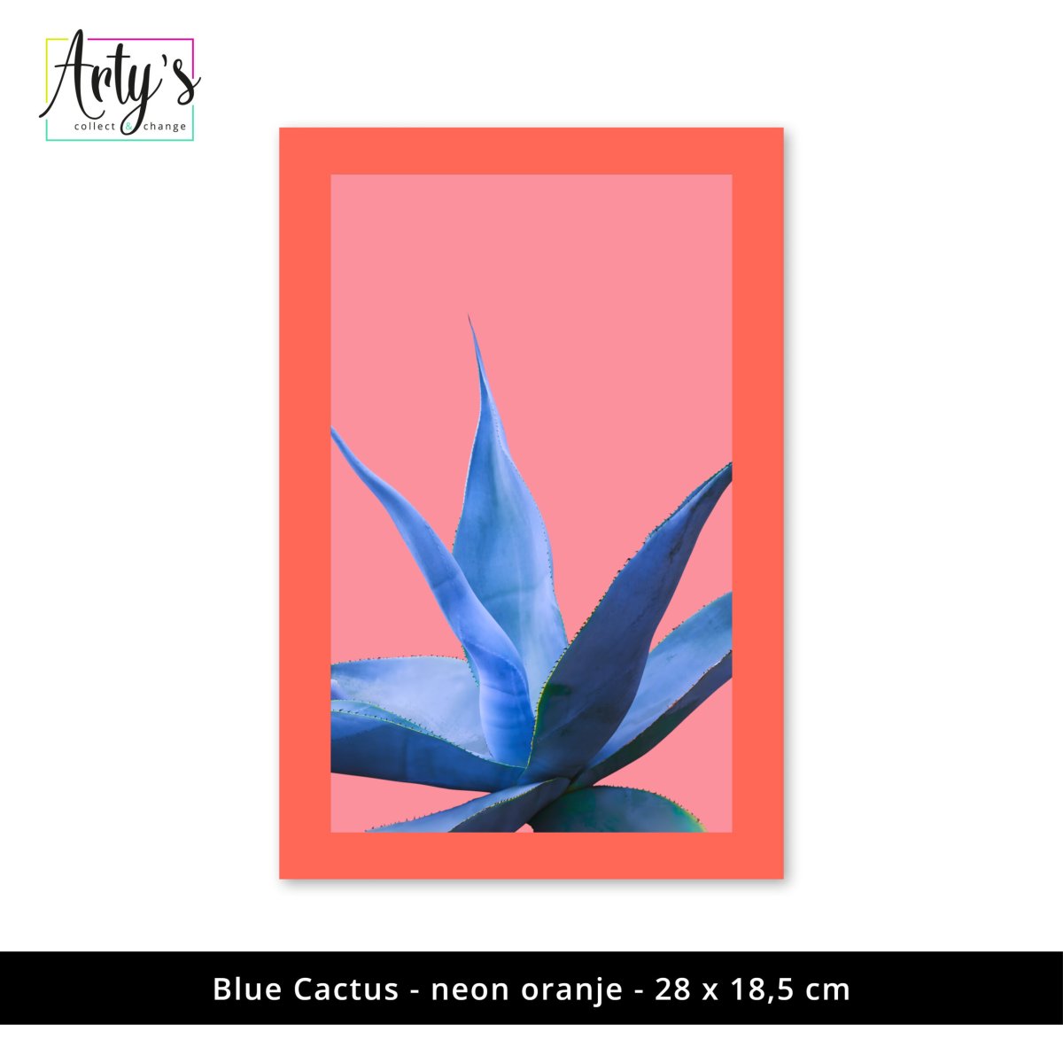 Arty’s ‘Blue Cactus’ - Afbeelding 3