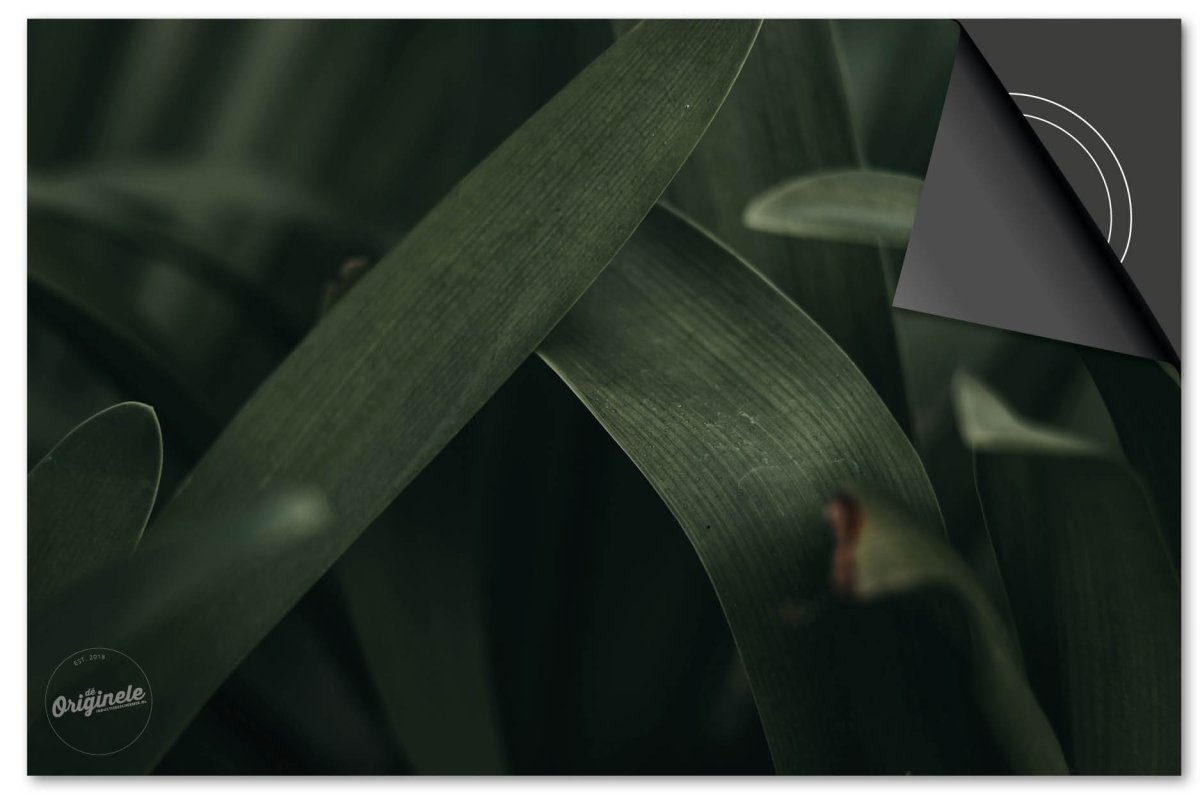 Inductiebeschermer Leaves – 20 Donkergroene bladeren