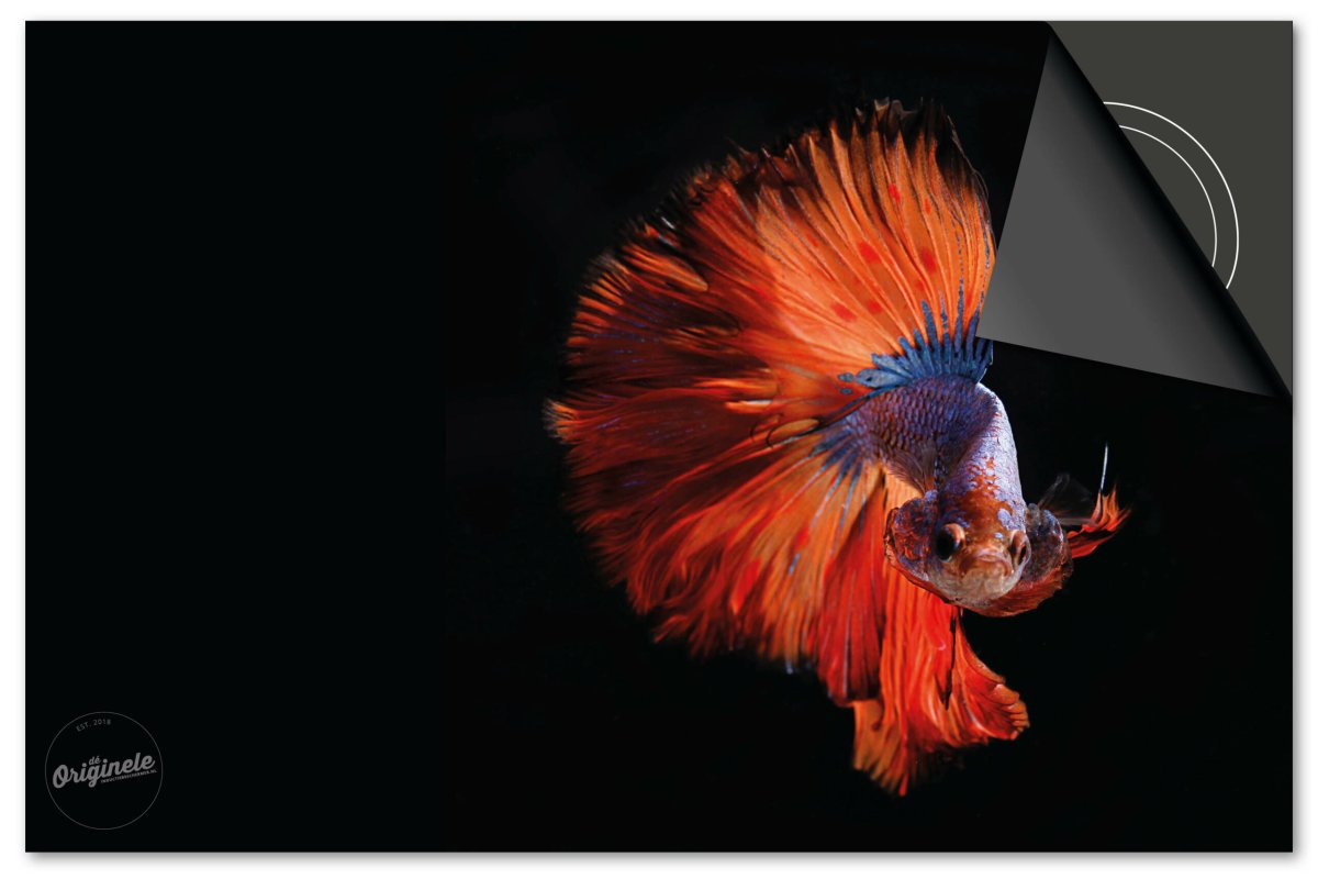 Inductiebeschermer Under the Sea – Rode Vis - Afbeelding 2