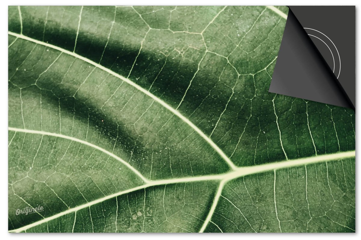 Inductiebeschermer Leaves – 5 Lichtgroene nerf blad - Afbeelding 2