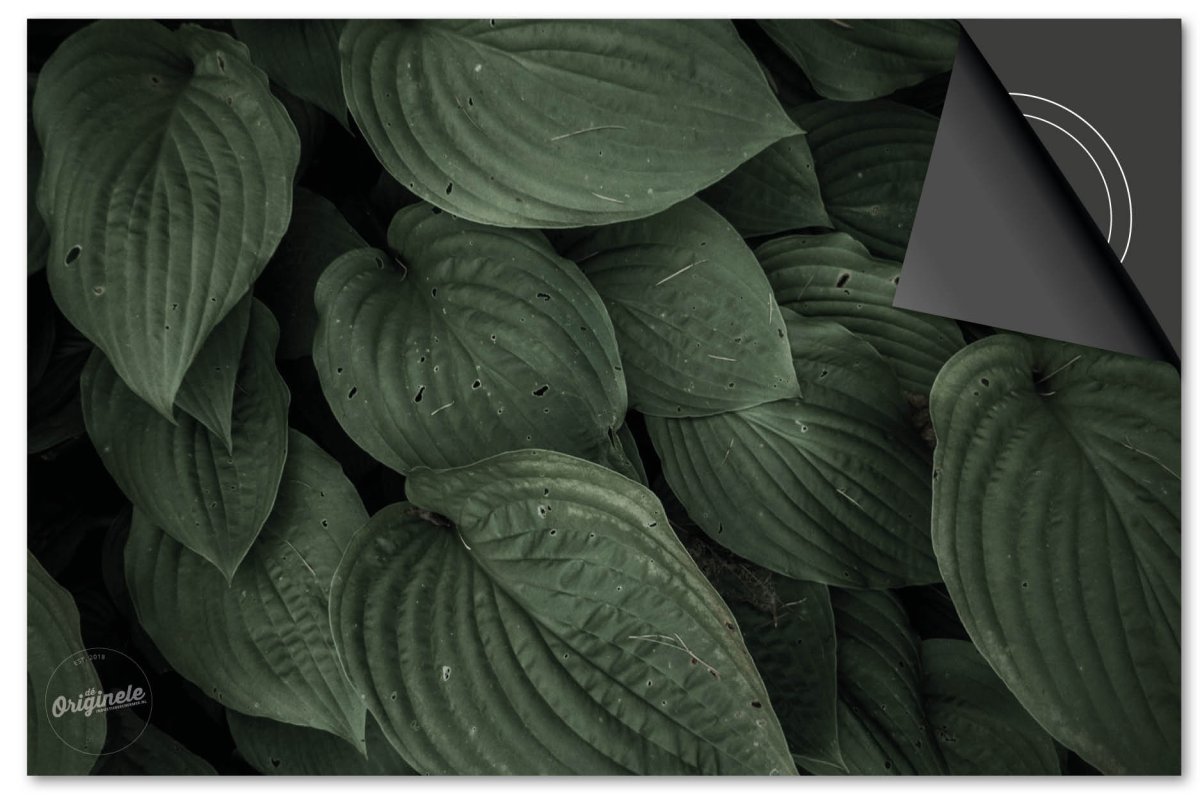 Inductiebeschermer Leaves – 23 Groene ovalen bladeren - Afbeelding 2