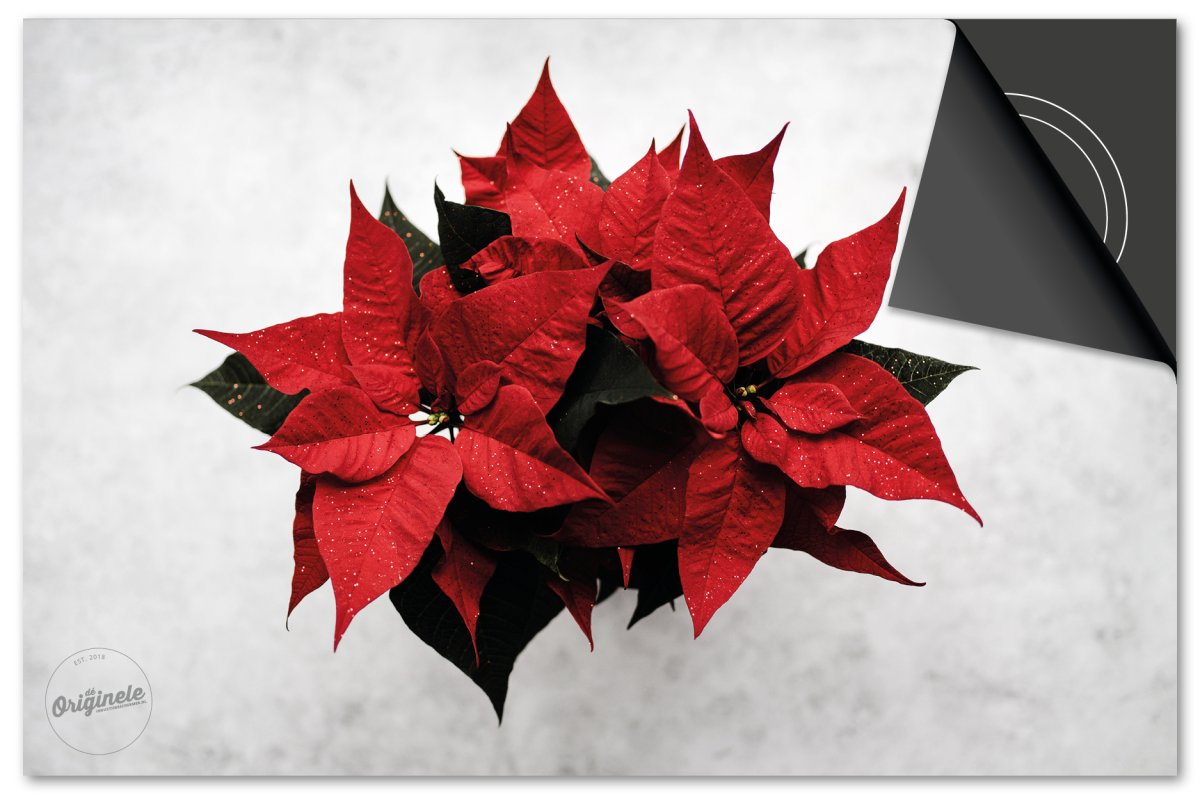 Inductiebeschermer Feestdagen – Kerstster plant - Afbeelding 2