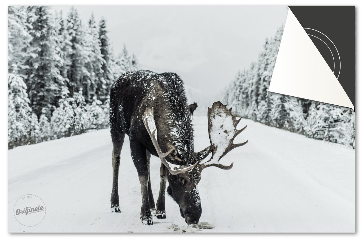 Inductiebeschermer Winter – Rendier Sneeuw - Afbeelding 2