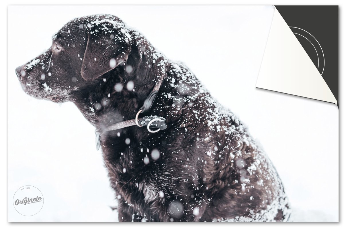 Inductiebeschermer Winter – Hond - Afbeelding 2